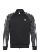 Sstr Mono Tt Sport Sweat-shirts & Hoodies Sweat-shirts Black Adidas Or...