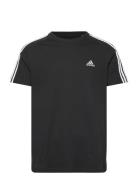 M 3S Sj T Sport T-shirts Short-sleeved Black Adidas Sportswear