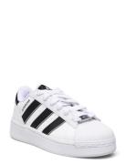Superstar Xlg T J Sport Sneakers Low-top Sneakers White Adidas Origina...