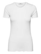 Cc Heart Sofia Short Sleeve Blouse Tops T-shirts & Tops Short-sleeved ...