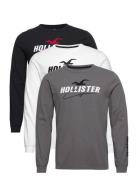 Hco. Guys Graphics Tops T-shirts Long-sleeved Black Hollister