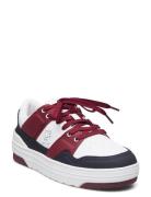 Th Lo Basket Sneaker Matalavartiset Sneakerit Tennarit White Tommy Hil...