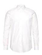 Poplin Shirt Tops Shirts Casual White Tom Tailor