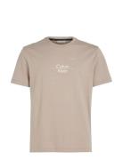Optic Line Logo T-Shirt Tops T-shirts Short-sleeved Beige Calvin Klein