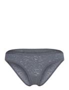 Bikini Alushousut Brief Tangat Grey Calvin Klein