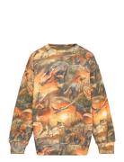 Monti Tops Sweat-shirts & Hoodies Sweat-shirts Multi/patterned Molo