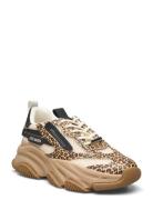 Possession-E Sneaker Matalavartiset Sneakerit Tennarit Beige Steve Mad...