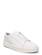 Low Top Lace Up Lth Matalavartiset Sneakerit Tennarit White Calvin Kle...