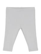 Leggings Rib Newborn Bottoms Leggings Grey Lindex