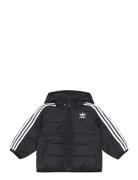 Padded Jacket Toppatakki Black Adidas Originals