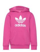 Trefoil Hoodie Tops Sweat-shirts & Hoodies Hoodies Pink Adidas Origina...