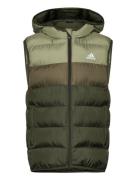 J Sd Vest Toppaliivi Green Adidas Sportswear