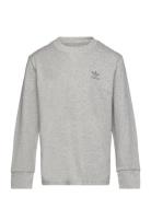 Long Sleeve Tops T-shirts Long-sleeved T-shirts Grey Adidas Originals