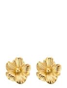 Daisy Earring Accessories Jewellery Earrings Studs Gold By Jolima