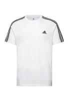 M 3S Sj T Sport T-shirts Short-sleeved White Adidas Sportswear