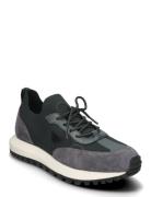 Sneaker Matalavartiset Sneakerit Tennarit Grey Emporio Armani