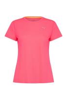 Run Favorites Velocity Tee W Sport T-shirts & Tops Short-sleeved Pink ...