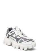 Prize-K Sneaker Matalavartiset Sneakerit Tennarit Grey Steve Madden