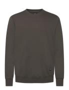 Light Terry Asker Sweat Tops Sweat-shirts & Hoodies Sweat-shirts Brown...