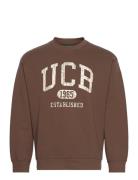 Sweater L/S Tops Sweat-shirts & Hoodies Sweat-shirts Brown United Colo...