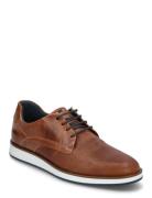 Beko Matalavartiset Sneakerit Tennarit Brown Dune London