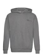 Halo Essential Hoodie Sport Sweat-shirts & Hoodies Hoodies Grey HALO