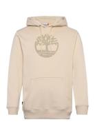 Kennebec River Tree Logo Hoodie Angora Tops Sweat-shirts & Hoodies Hoo...