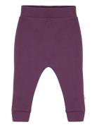 Pants, Maple Syrup Bottoms Trousers Purple Smallstuff