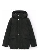 Hayden Toppatakki Black Molo