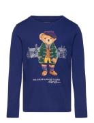 Polo Bear Cotton Jersey Long-Sleeve Tee Tops T-shirts Long-sleeved T-s...