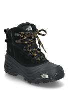 Y Chilkat V Lace Wp Nauhalliset Talvikengät Black The North Face