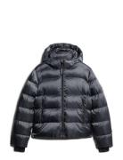 Hooded Luxe Sports Puffer Vuorillinen Takki Topattu Takki Navy Superdr...