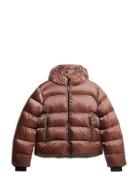 Hooded Luxe Sports Puffer Vuorillinen Takki Topattu Takki Brown Superd...