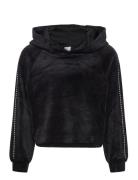 Sweatshirt Velour With Hood Tops Sweat-shirts & Hoodies Sweat-shirts B...