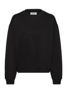 Standard Sweatshirt Tops Sweat-shirts & Hoodies Sweat-shirts Black Wee...