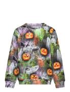 Harry Halloween Tops Sweat-shirts & Hoodies Sweat-shirts Green POP & C...