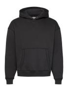 Hco. Guys Sweatshirts Tops Sweat-shirts & Hoodies Hoodies Black Hollis...