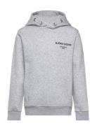 Borg Essential 1 Hoodie Tops Sweat-shirts & Hoodies Hoodies Grey Björn...