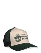 Smokey Bear Sinclair Green/Off White American Needle Accessories Headw...