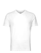 Slim Fit V-Neck T-Shirt 100% Cotton Tops T-shirts Short-sleeved White ...