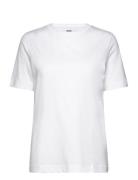 Cotton Jersey Jess Tee Fav Tops T-shirts & Tops Short-sleeved White Ma...