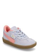 Palermo Ac Inf Sport Sneakers Low-top Sneakers Blue PUMA