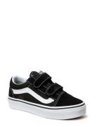 Uy Old Skool V Matalavartiset Sneakerit Tennarit Black VANS