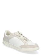 Low Top Lace Up Repreve Mix Matalavartiset Sneakerit Tennarit White Ca...