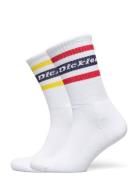 Genola Lingerie Socks Regular Socks White Dickies