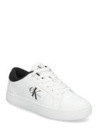 Classic Cupsole Lowlaceup Lth Wn Matalavartiset Sneakerit Tennarit Whi...