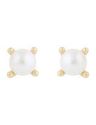 Lucy Pearl Ear G/White Accessories Jewellery Earrings Studs Gold SNÖ O...