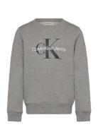 Ck Monogram Terry Cn Tops Sweat-shirts & Hoodies Sweat-shirts Grey Cal...