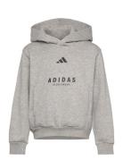 J Allszn Gfx Hd Sport Sweat-shirts & Hoodies Hoodies Grey Adidas Sport...