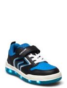 J Buzzerlight Boy B Matalavartiset Sneakerit Tennarit Blue GEOX